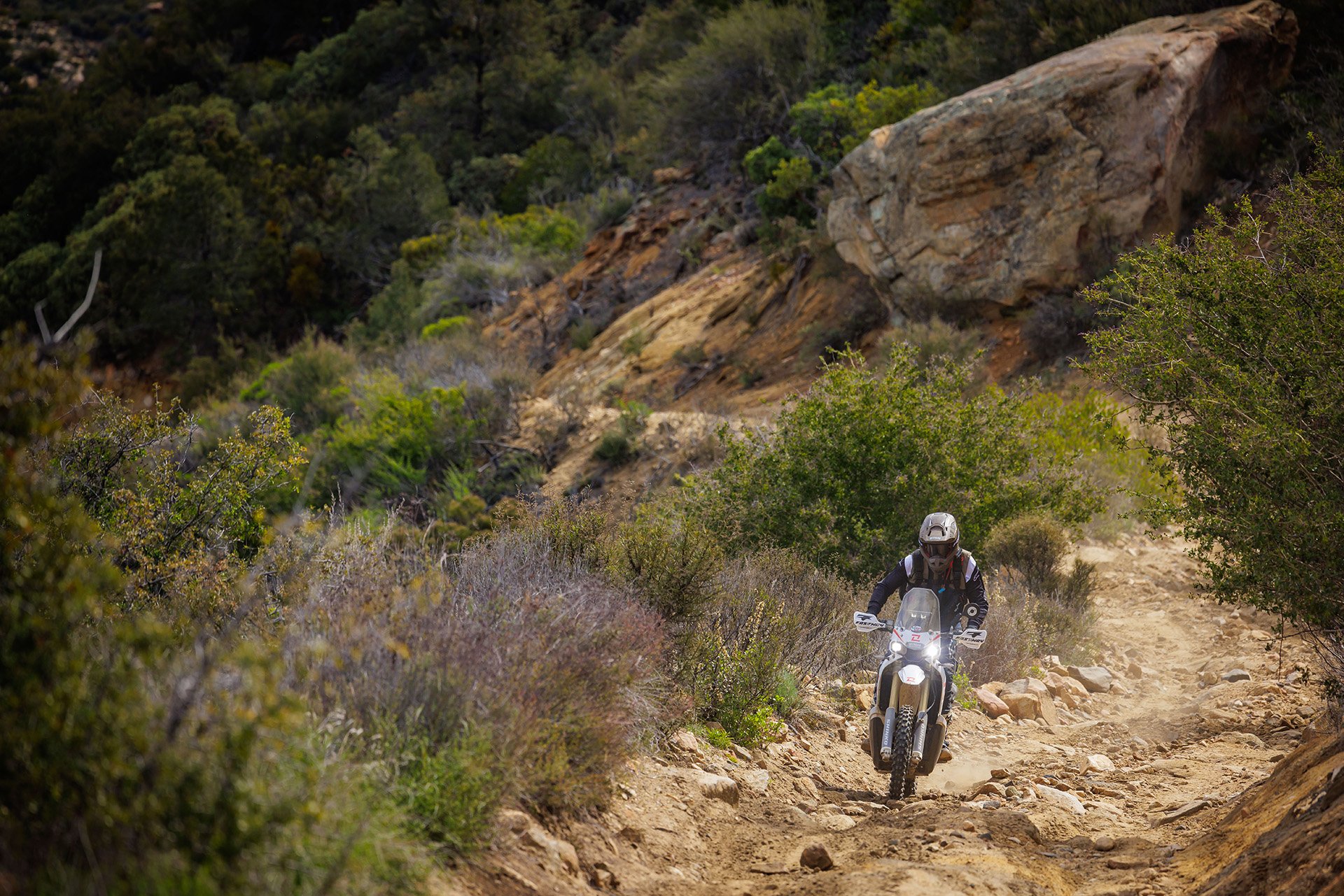 Kove 450 Rally descendiendo un sendero rocoso en Baja